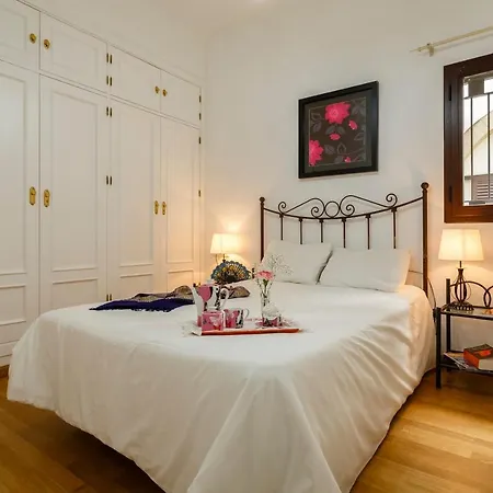 Apartment Surthy Plateros City Center
